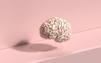L’influence des biais inconscients dans la sélection d’un partenaire : Quand le cerveau choisit pour nous